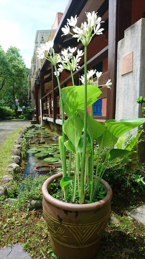 Monet Garden Coffee Farm Apartman Chinan Kültér fotó